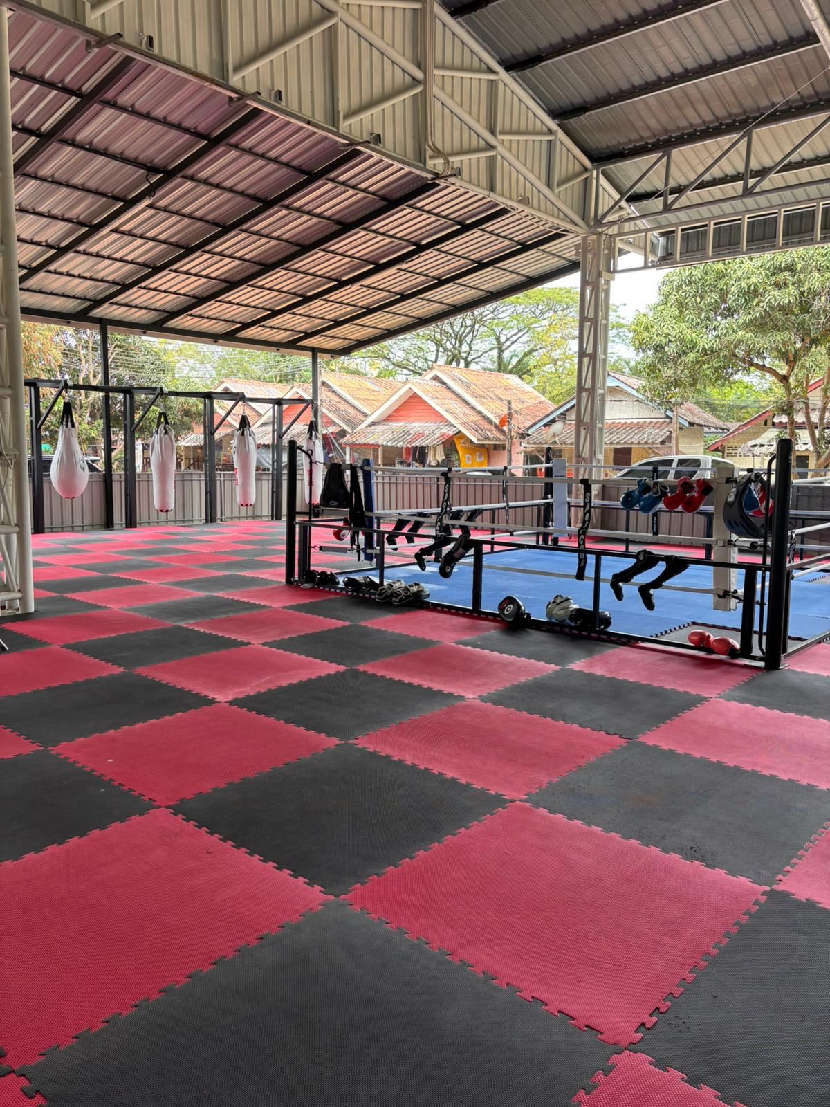 The Muay Thai ring and bag area